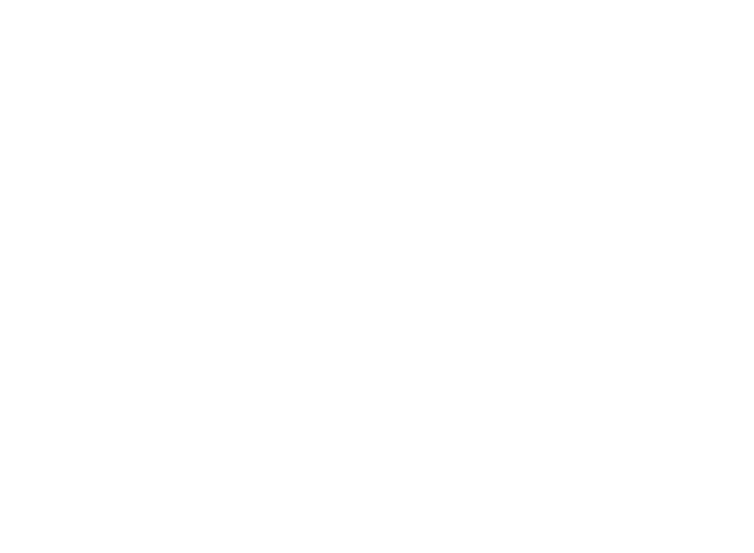 05 logo principal 1